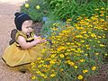 A child wearing a bee costume.