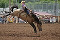 Image 5A rodeo at Days of '76 in Deadwood. (from Culture of South Dakota)