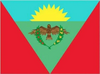 Flag of Caripe