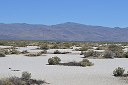 View toward Flanigan townsite and the former Western Pacific line, 2015