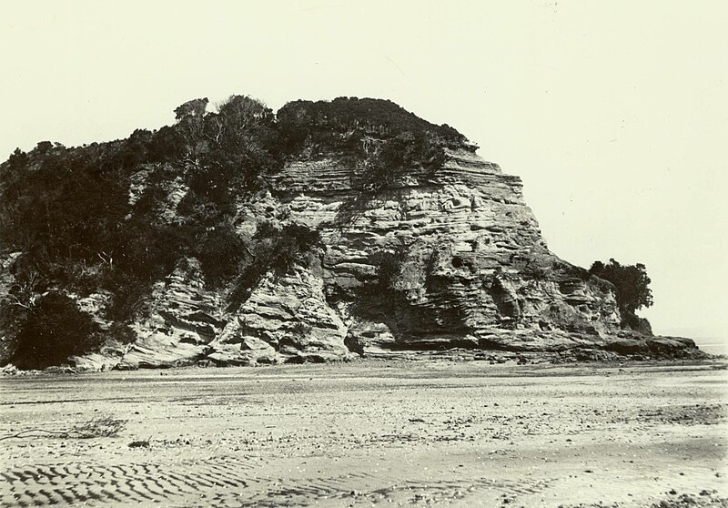 File:Kauri Point, Birkenhead (1899).jpg