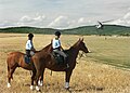 Mounted police.