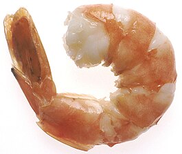 The shells and flesh of steamed shrimp contain a natural carotenoid pigment called astaxanthin, which turns pink when heated. The same process turns cooked lobster and crab from blue-green to red when they are boiled.