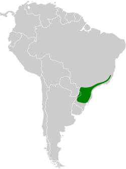 Distribución geográfica del pepitero picudo.