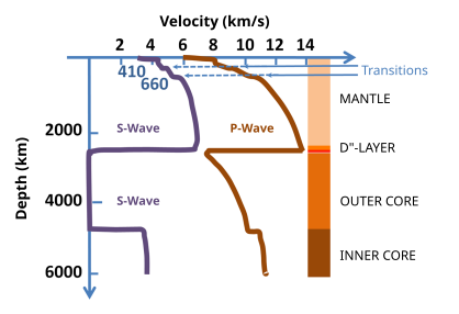 Analysis of shear wave velocities has played an integral role in the development of knowledge about carbon's existence in the core