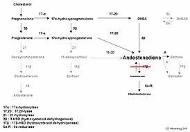 Биохимические эффекты 17β-гидроксистероидной недостаточности-3 в биосинтезе тестостерона. Обычно уровни андростендиона значительно повышаются, в то время как уровни тестостерона снижаются, что приводит к недостаточной вирилизации у мужчин.