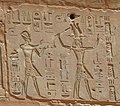 Hieroglyphs showing Thutmose III on the left and Hatshepsut on the right, she having the trappings of the greater role — Red Chapel, Karnak