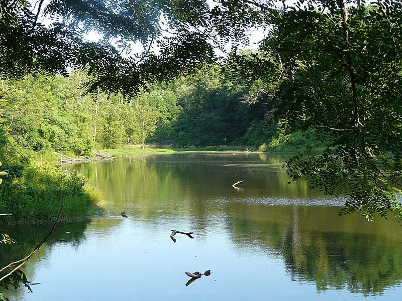 File:Audubonwildernesslake.JPG