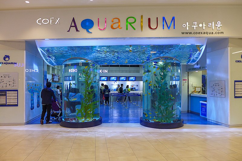 File:COEX Aqurium 2016.jpg