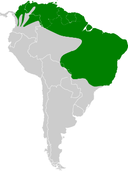 Distribución geográfica del colibrí rubí.