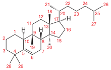 Cucurbitane Grundstruktur num.svg