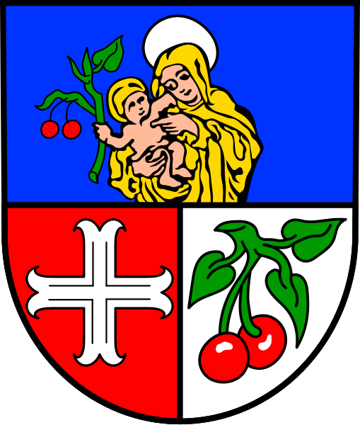 File:DEU Börrstadt COA.svg