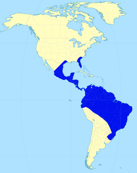 File:Eremotherium Distribution Map.png