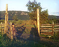 Boy standing by wooden gatepost