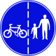 Separate path for pedestrians only, and a separate path for bicycle traffic