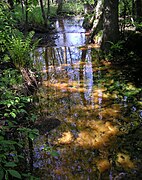 Fuente de San Botvid