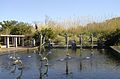 Fountain of the Muses by Carl Milles (1949-1955)