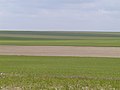 A typical landscape of Champagne chalk in the south of the department.