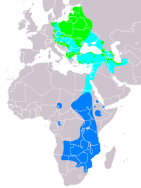 Distribución de Clanga pomarina