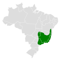 Distribución geográfica del curutié pálido.