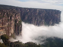 Clima húmedo Tepuyes, Bolívar