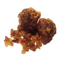 Commiphora-wightii-resin.jpg