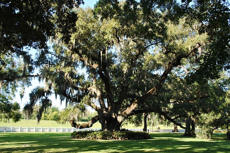 File:Destrehan Plantation, 2.JPG