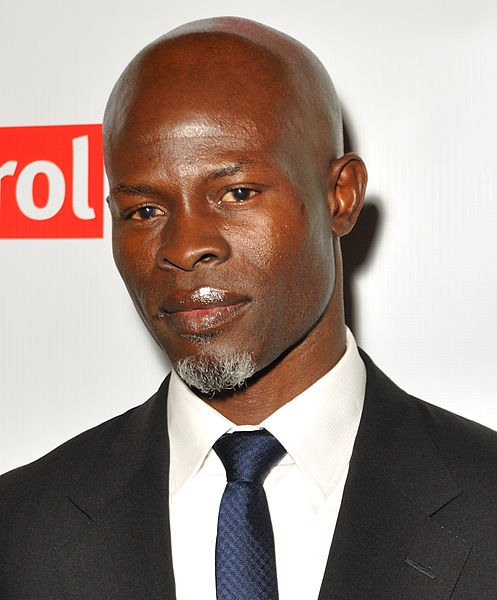 File:Djimon Hounsou (cropped).jpg