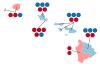 1959 Hawaii Senate election