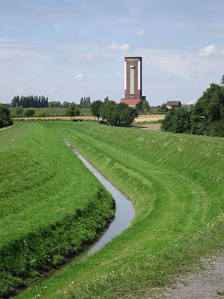 File:Seseke boenen.jpg