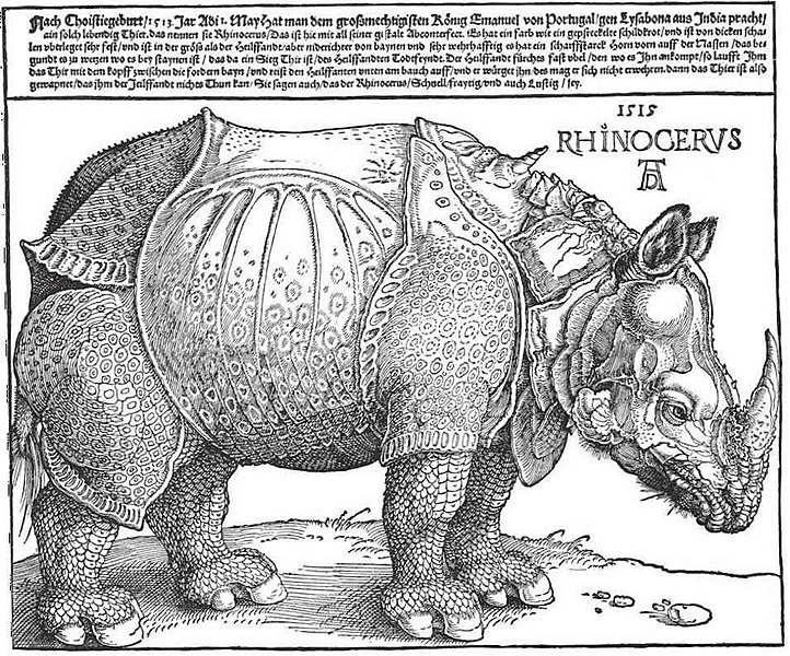 Файл:Dürer-rhino.jpg