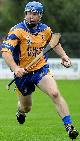 File:Damien Hayes cropped.jpg