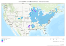 EAB 2024 infested counties.png