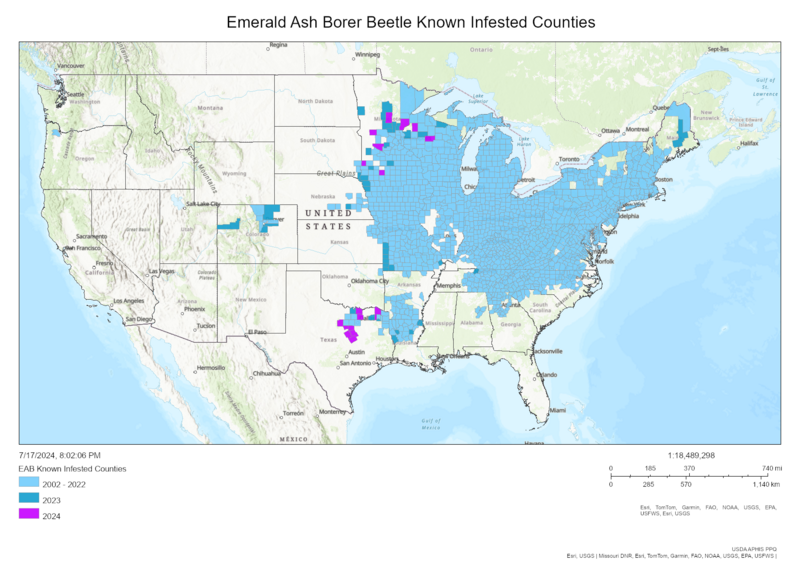 File:EAB 2024 infested counties.png