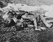 Victims of The Holocaust in the Independent State of Croatia