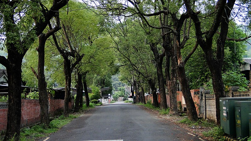 File:Guangfu Village.jpg