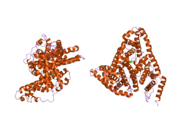 2bxh: HUMAN SERUM ALBUMIN COMPLEXED WITH INDOXYL SULFATE