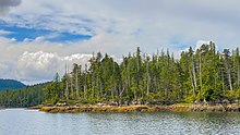 A low, forested shoreline.