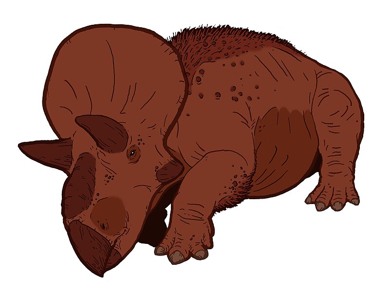 Archivo:Turanoceratops.jpg