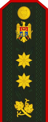 File:16-Moldovan Army-MG.svg