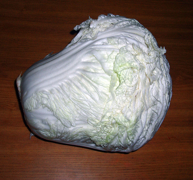 File:BrassicaPekinensis.jpg