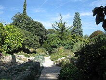 Jardin Alpin.JPG