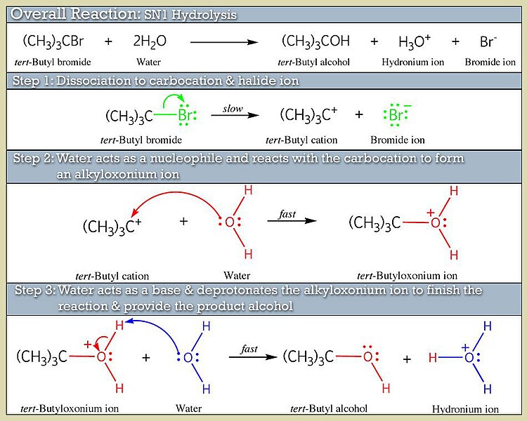 File:Mechanism SN1Hydrolysis.jpg