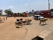 Pemba, Zambia.jpg