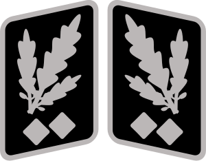 Archivo:SS-Obergruppenführer Collar Rank.svg