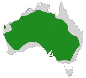 File:Sugomel nigrum distribution.svg