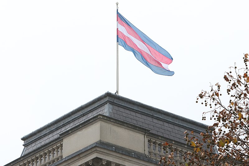 Файл:Transgender Pride Flag (32097587768).jpg