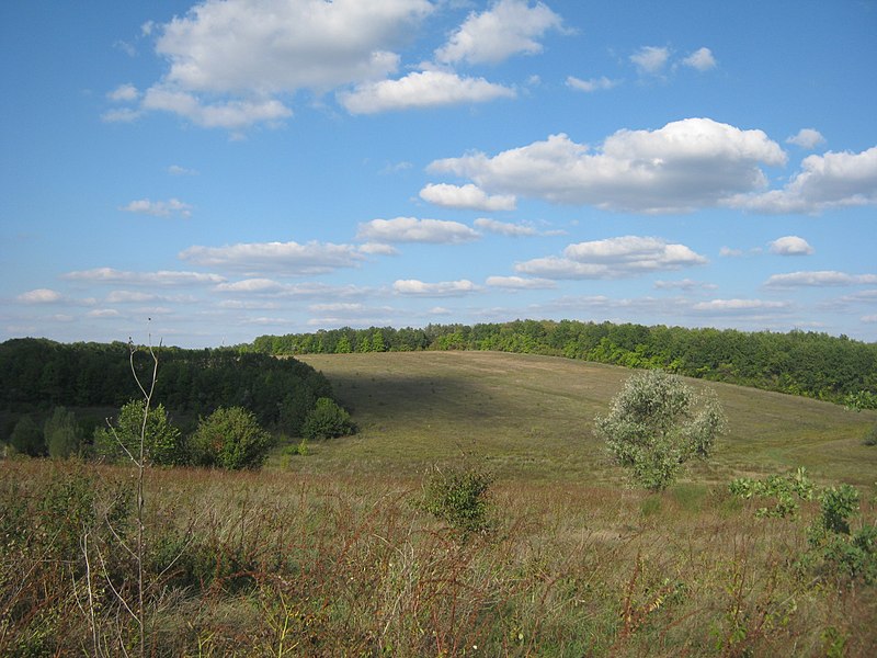 Файл:Городище "Гайдари".jpg