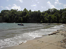 Anse Du Me (Dominica).jpg