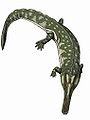 Collidosuchus